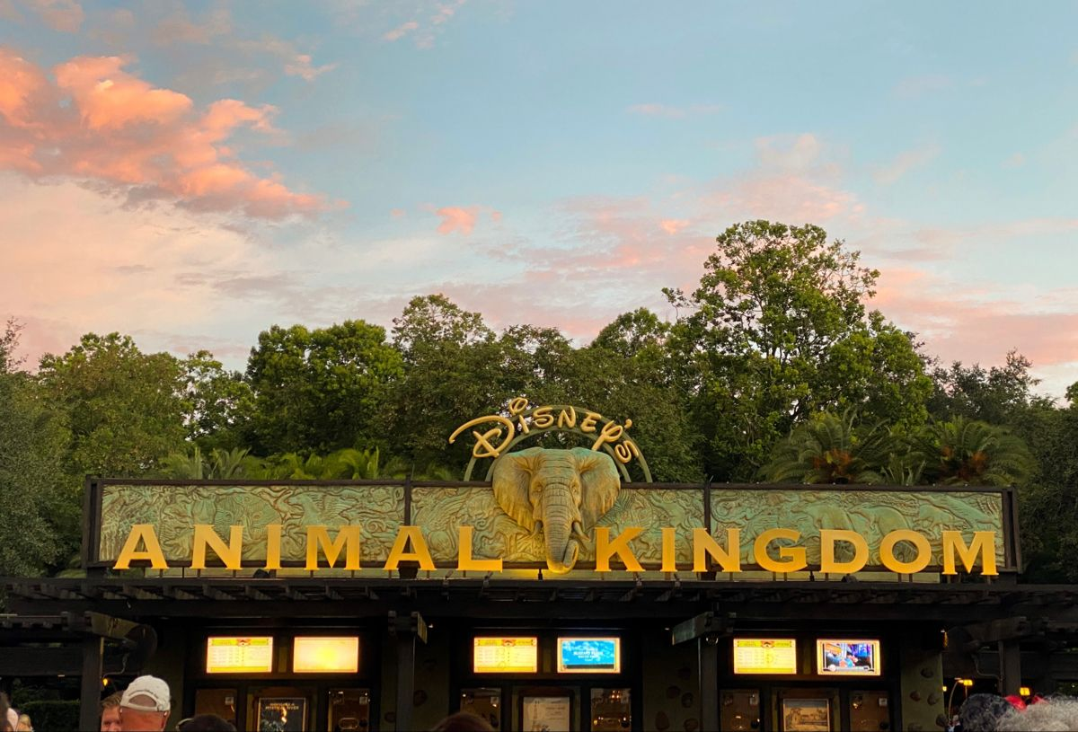 動物王國 Animal Kingdom